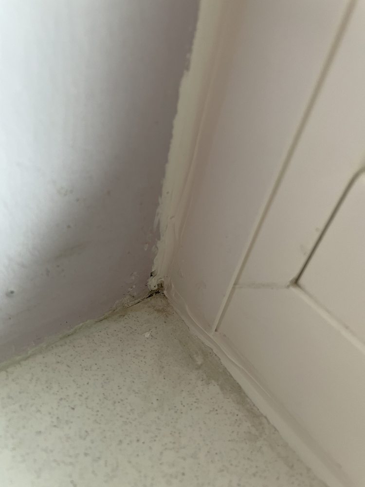 Slide of Paradise Exteriors