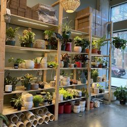 PlantHouse