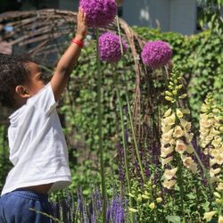 One Childhood Early Learning & Care