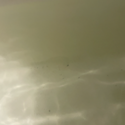 CryoCure Wellness Center - Mysterious dirt droppings