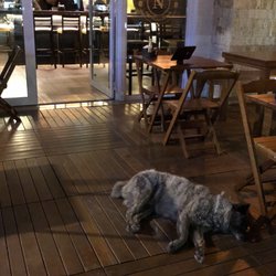 The Nicolas Pub - Dog friendly. A gorda