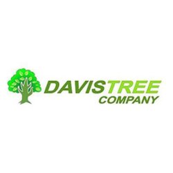 Davis Tree