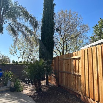 Elk Grove Tree Service - Tree Services Near Me Elk Grove Tree Service - Tree Services Near Me