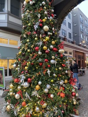 Bethesda Row by null