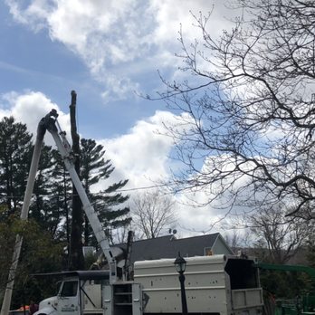 Cruz Tree Services, LLC - Another job done - Tree Services Near Me Cruz Tree Services, LLC - Another job done - Tree Services Near Me