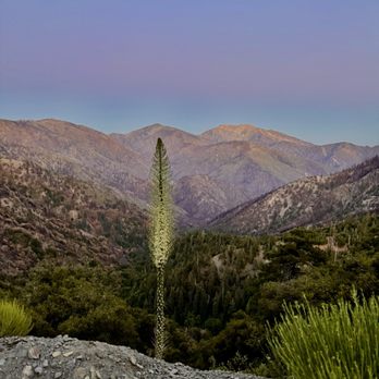 Mount Baden-Powell Trail - Hiking Near Me