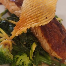 Salmon