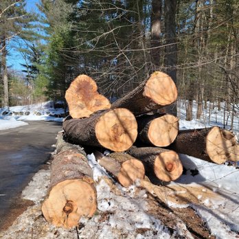Stumpy's Tree Service - Tree Services Near Me - Ashland, Massachusetts