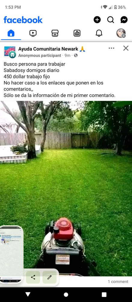 H Omar Pro Landscaping - tree service in Newark, NJ