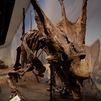 Royal Tyrrell Museum - Museums Near Me - Drumheller, Alberta Royal Tyrrell Museum - Museums Near Me - Drumheller, Alberta