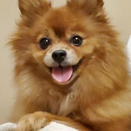 Chilli is smiling now!