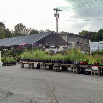 Lenoch & Cilek Ace Hardware - Nice sized summer plant selection - Hardware Stores Near Me - Iowa City, Iowa Lenoch & Cilek Ace Hardware - Nice sized summer plant selection - Hardware Stores Near Me - Iowa City, Iowa