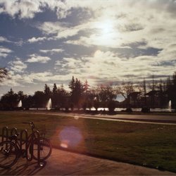 California State University Stanislaus - Picture of a sunny day reflecting pond taken from side of MSR building