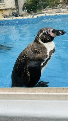 Otaru Aquarium by null