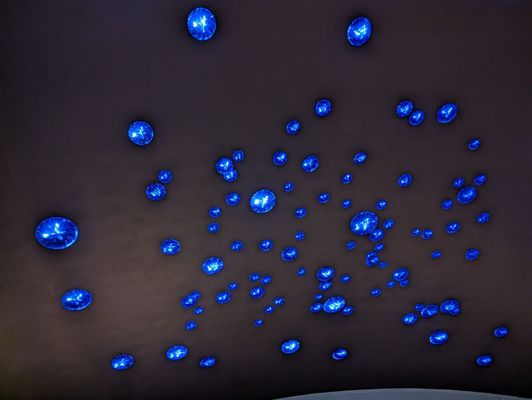 St. Louis Aquarium at Union Station by null