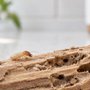 Vendetta Pest Solutions