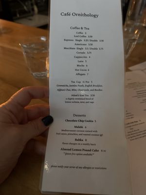 Cafe Ornithology by null