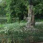 Photo of Statue Léon Valade
