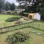 Photo of Barrett's Tree Service