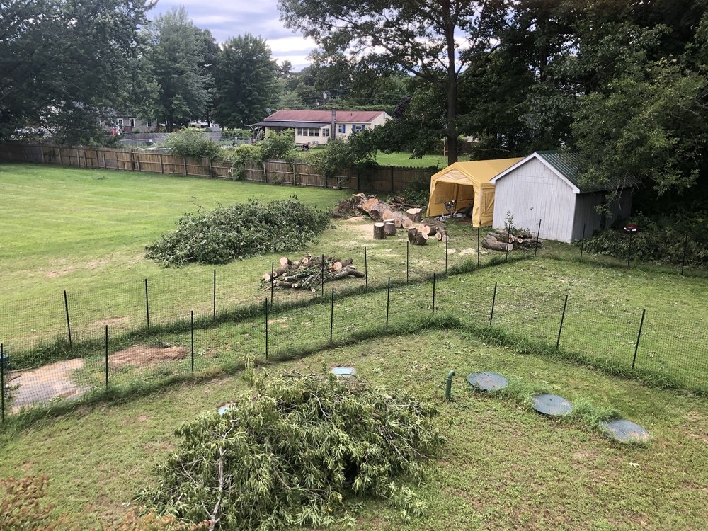 Barrett's Tree Service - tree service in South Burlington, VT