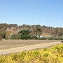 Photo of Thorn-Clarke Wines