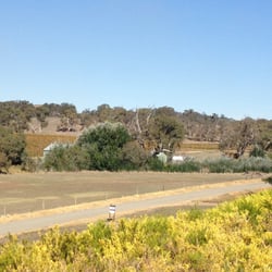 Thorn-Clarke Wines - Outlook from Thorn Clark terrace