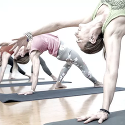 Naples Yoga Center - Vinyasa Flow
