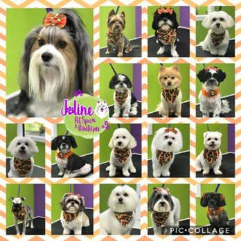 pedigree adult dog food ingredients