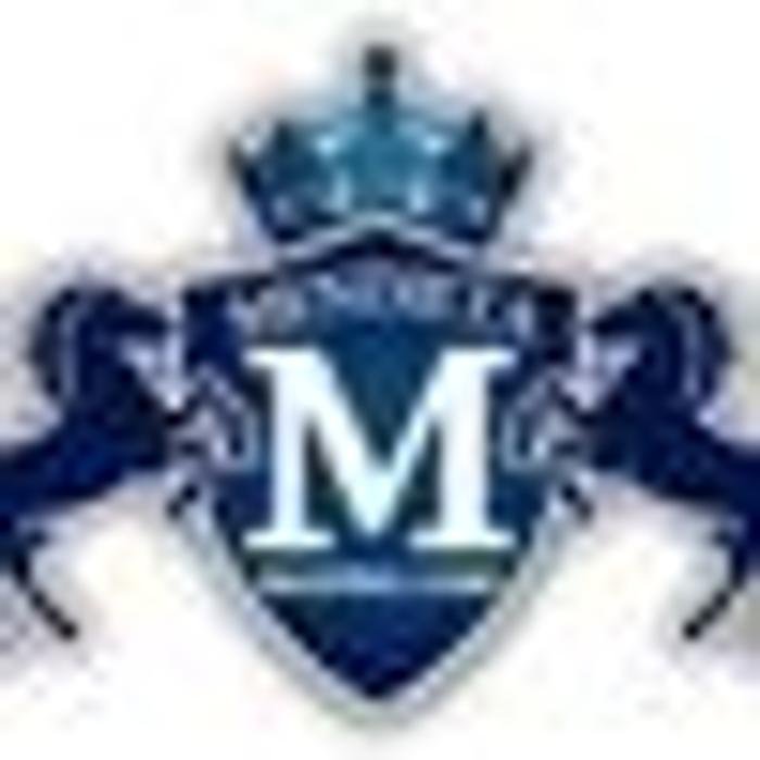 Slide of Mendieta Roofing