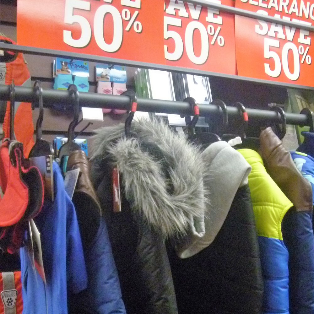 Pet Valu - Sale on doggie Winter sweaters and coats. - Pet Adoption Near Me - Scarborough, Ontario Pet Valu - Sale on doggie Winter sweaters and coats. - Pet Adoption Near Me - Scarborough, Ontario