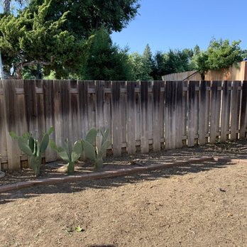 The Weed Solution - After - Landscaping Near Me
