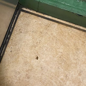 Wingstop - a close up of a bird on the floor - Chicken Wings Near Me - San Antonio, Texas Wingstop - a close up of a bird on the floor - Chicken Wings Near Me - San Antonio, Texas