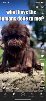 NAPA Auto Parts by null