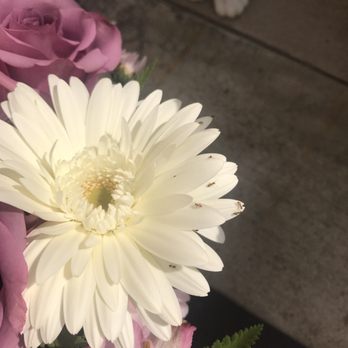Teri's Florist - Florists Near Me - Saddle Brook, New Jersey