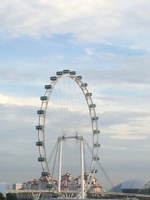Singapore Flyer by null