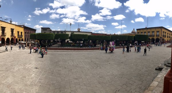 Jardín Allende by null