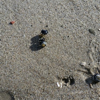 Leo Carrillo State Park - Parks Near Me - Malibu, California Leo Carrillo State Park - Parks Near Me - Malibu, California