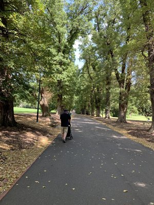 Fitzroy Gardens by null