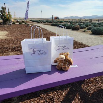 The Lavender Garden - Beautiful sit down and smell and next side dog park - Gift Shops Near Me - Lost Hills, California The Lavender Garden - Beautiful sit down and smell and next side dog park - Gift Shops Near Me - Lost Hills, California
