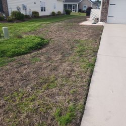 Weed Man - My lawn compared to neighbors who mine was better.