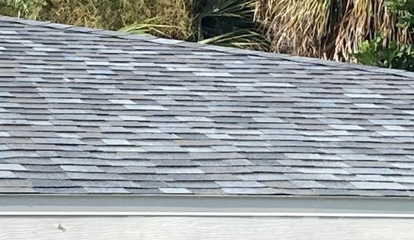 Red Dog's Roofing of Florida Logo