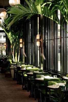 Osteria Mozza DC by null