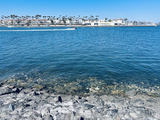 Marine Stadium by null