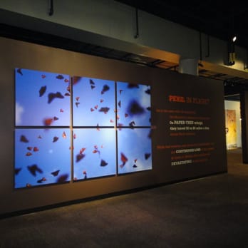 Peggy Notebaert Nature Museum - Museums Near Me - Chicago, Illinois Peggy Notebaert Nature Museum - Museums Near Me - Chicago, Illinois