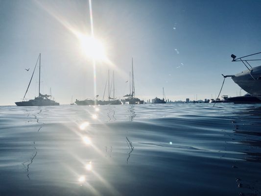 HANLAN’S POINT - 69 Photos & 25 Reviews - Toronto Island, Toronto ...