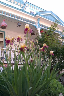 Garden House Bed & Breakfast by null