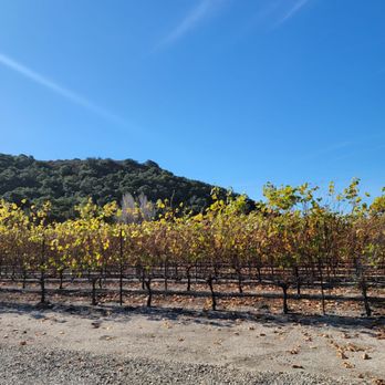 Peacock Cellars - Vineyards - Wine Tasting Room Near Me - Arroyo Grande, California