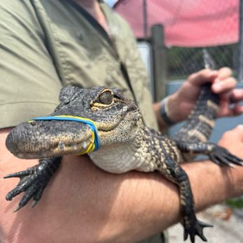 Black Hammock Adventures - Little cutie!!! - Boating Near Me - Oviedo, Florida