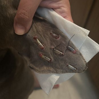 1. Vancouver Veterinary Hospital