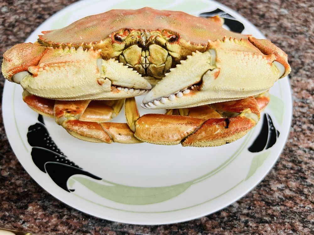 99 RANCH MARKET - Updated February 2026 - 1216 Photos & 555 Reviews ...